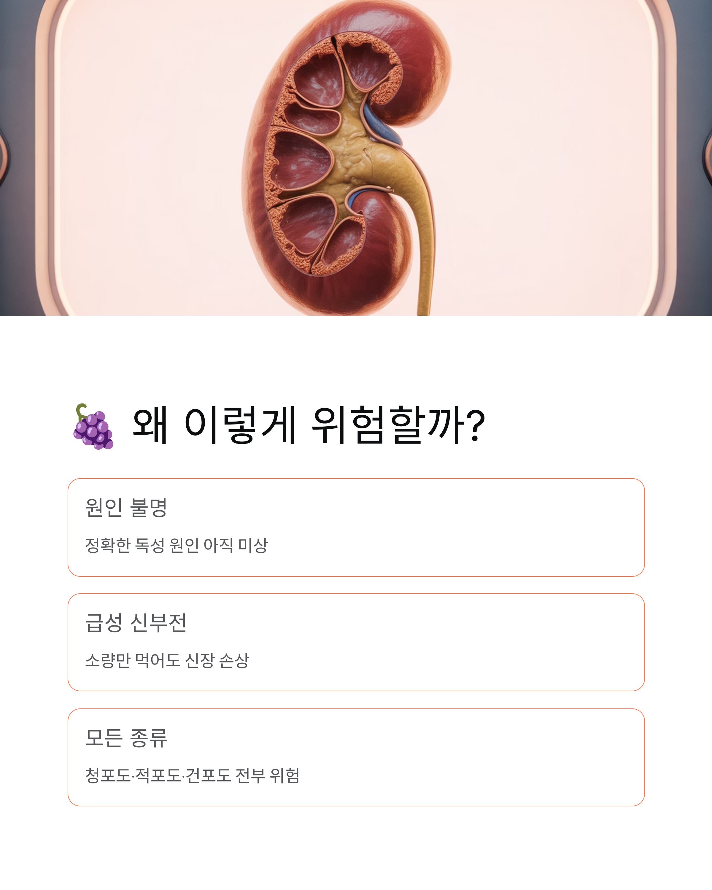 강아지 포도 먹으면 죽는다?단 한 알도 절대 안 되는 이유