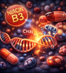 영양의 과잉이 유전자를 잠근다 – RUNX3의 침묵