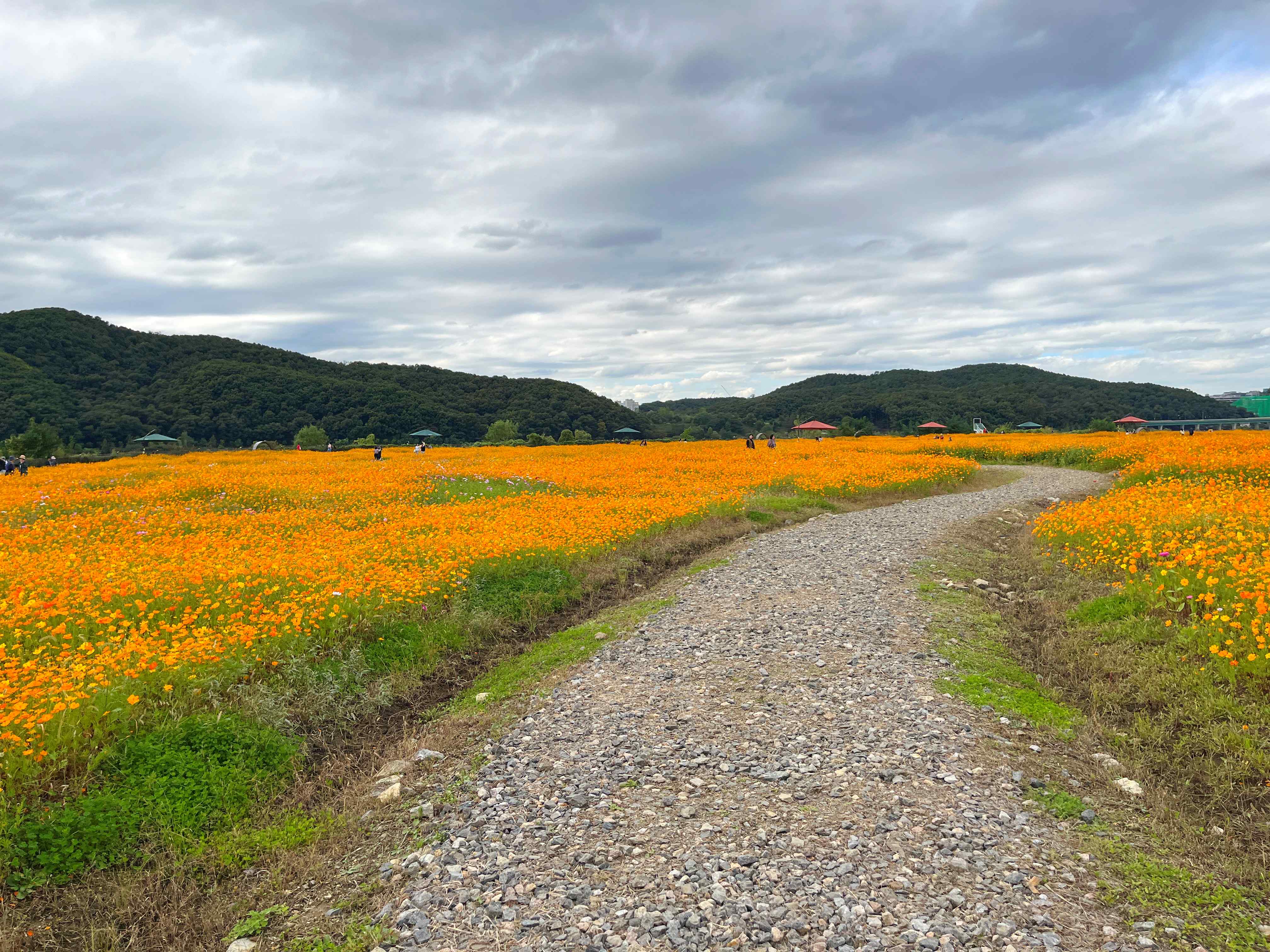 용인 기흥 호수공원