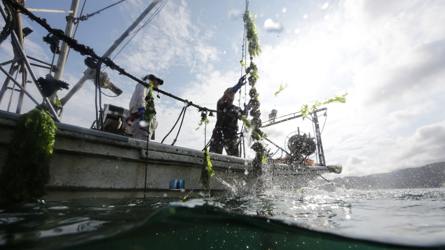 농신보 담보대출 자격