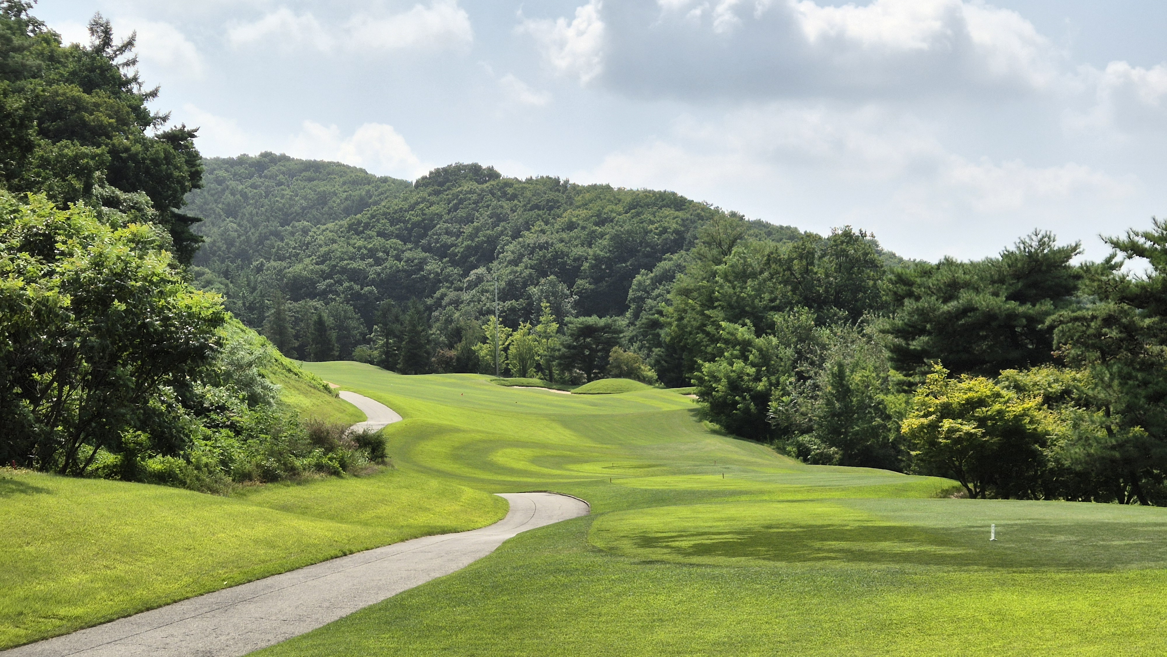 골프존카운티 안성H