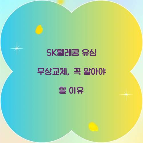 sk텔레콤 유심 무상교체
