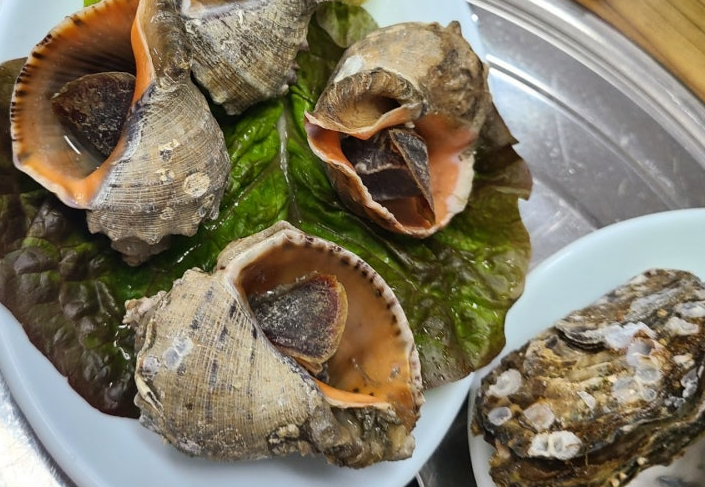 화성 피뿔고둥 양념코너 5호점&amp;#44; 궁평항 근처 회 맛집에서 만나는 제철 해산물