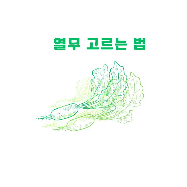열무 고르는법