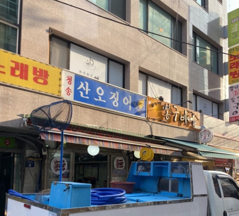 사당역 오징어 맛집, 청송산오징어