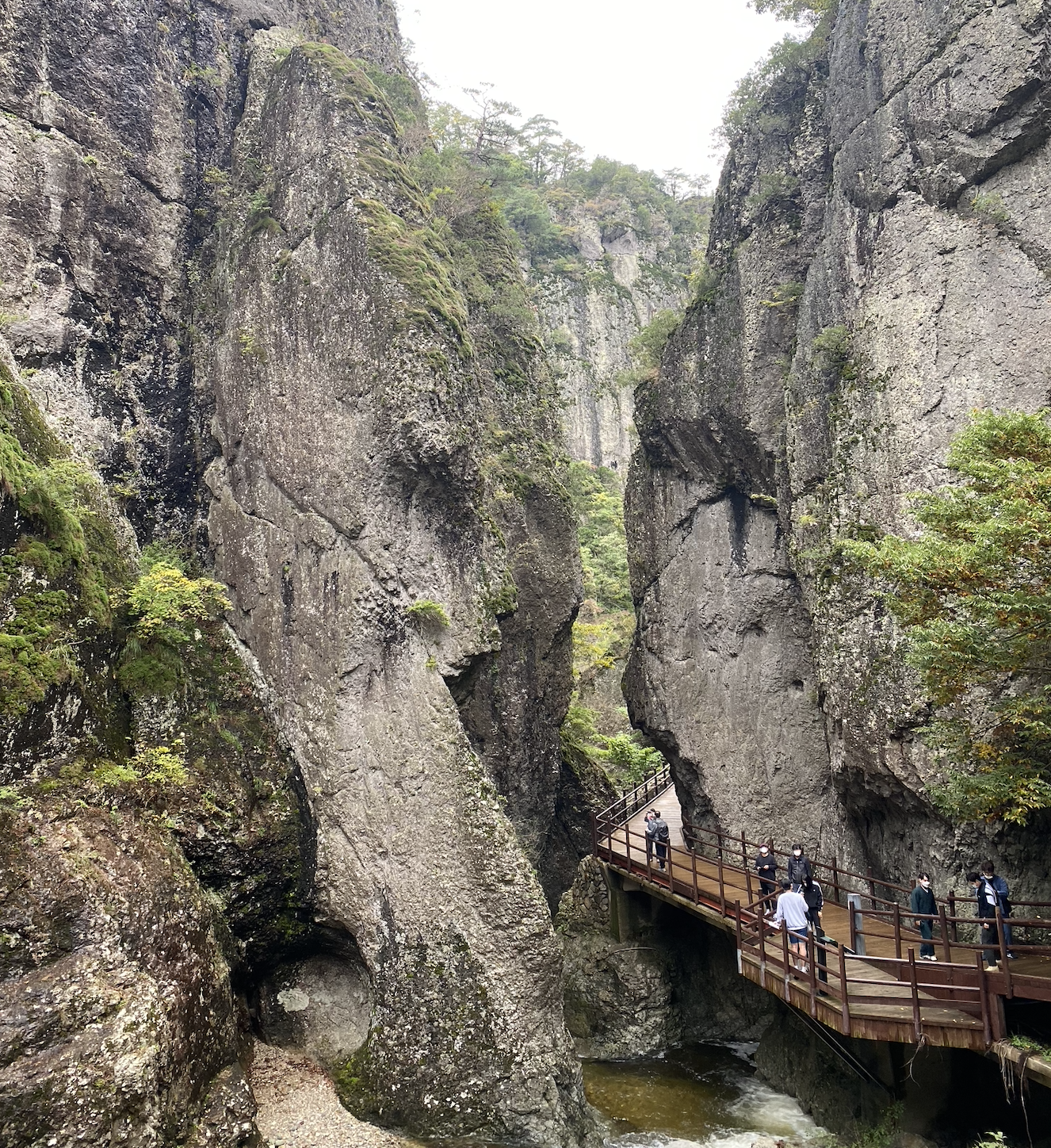 주왕산 계곡