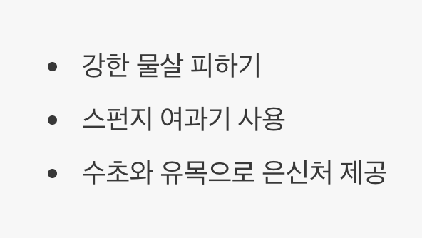어항 - '고요한 연못'을 만들어주세요
