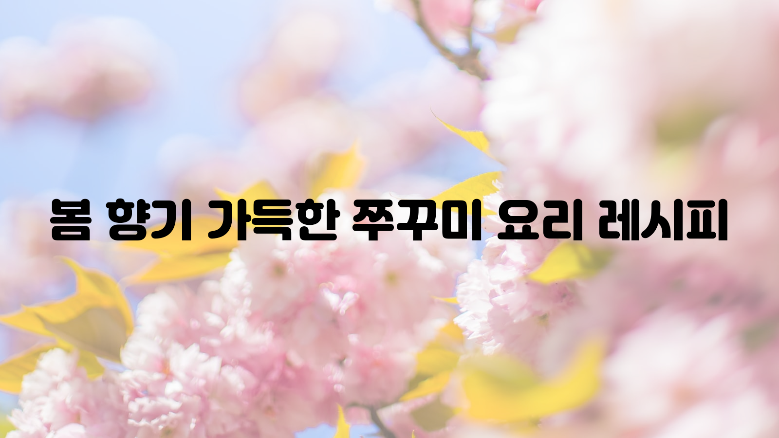 봄, 쭈꾸미, 요리 레시피