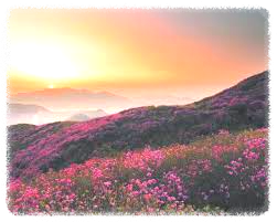 영취산