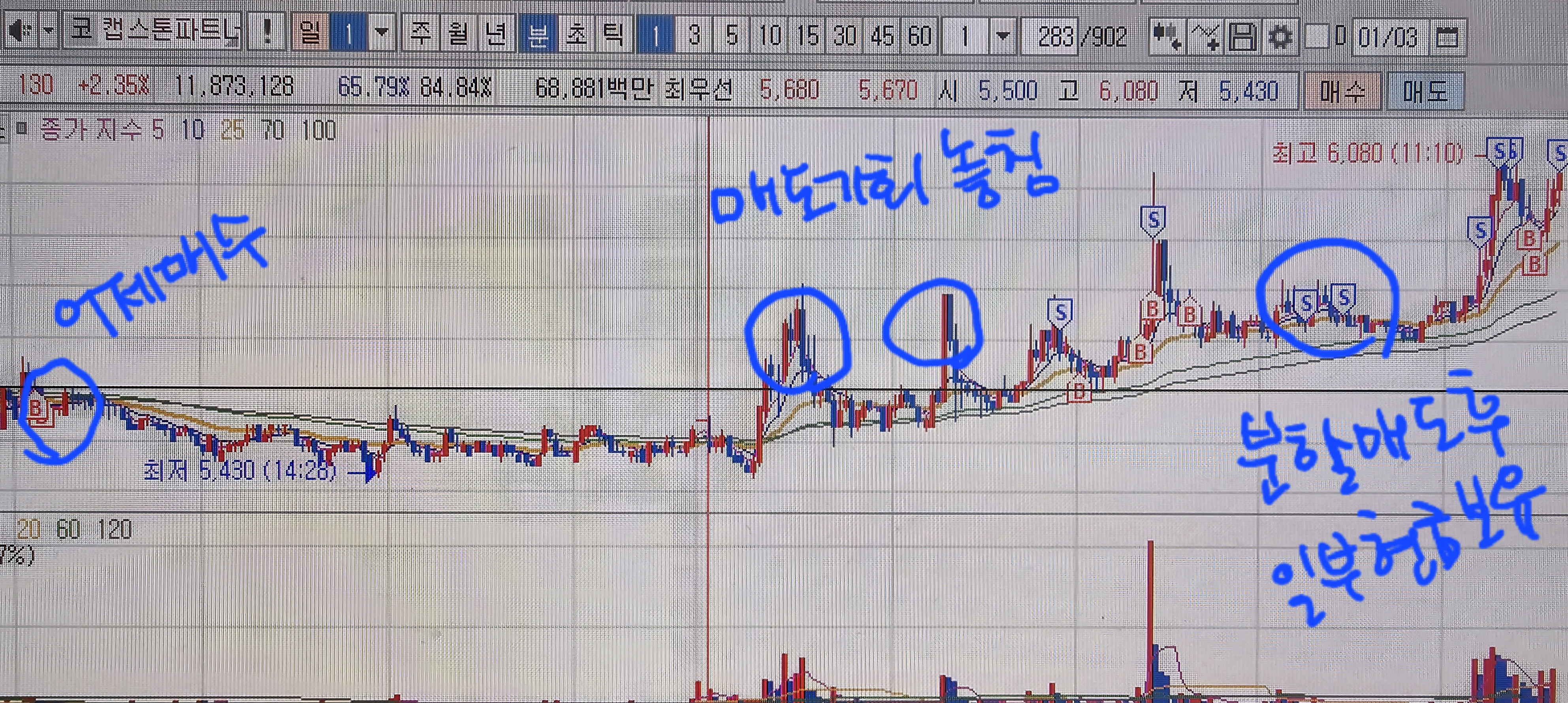 캡스톤 파트너스-매매 일지