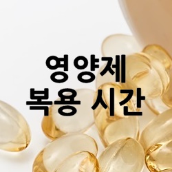영양제-알약