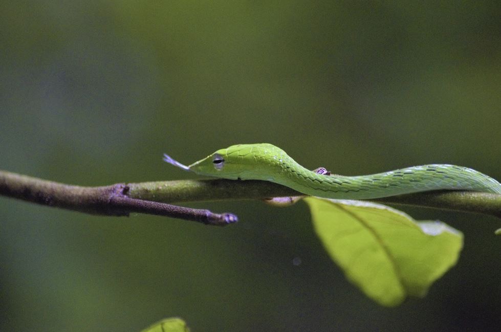 2026년 띠별 건강운 총정리