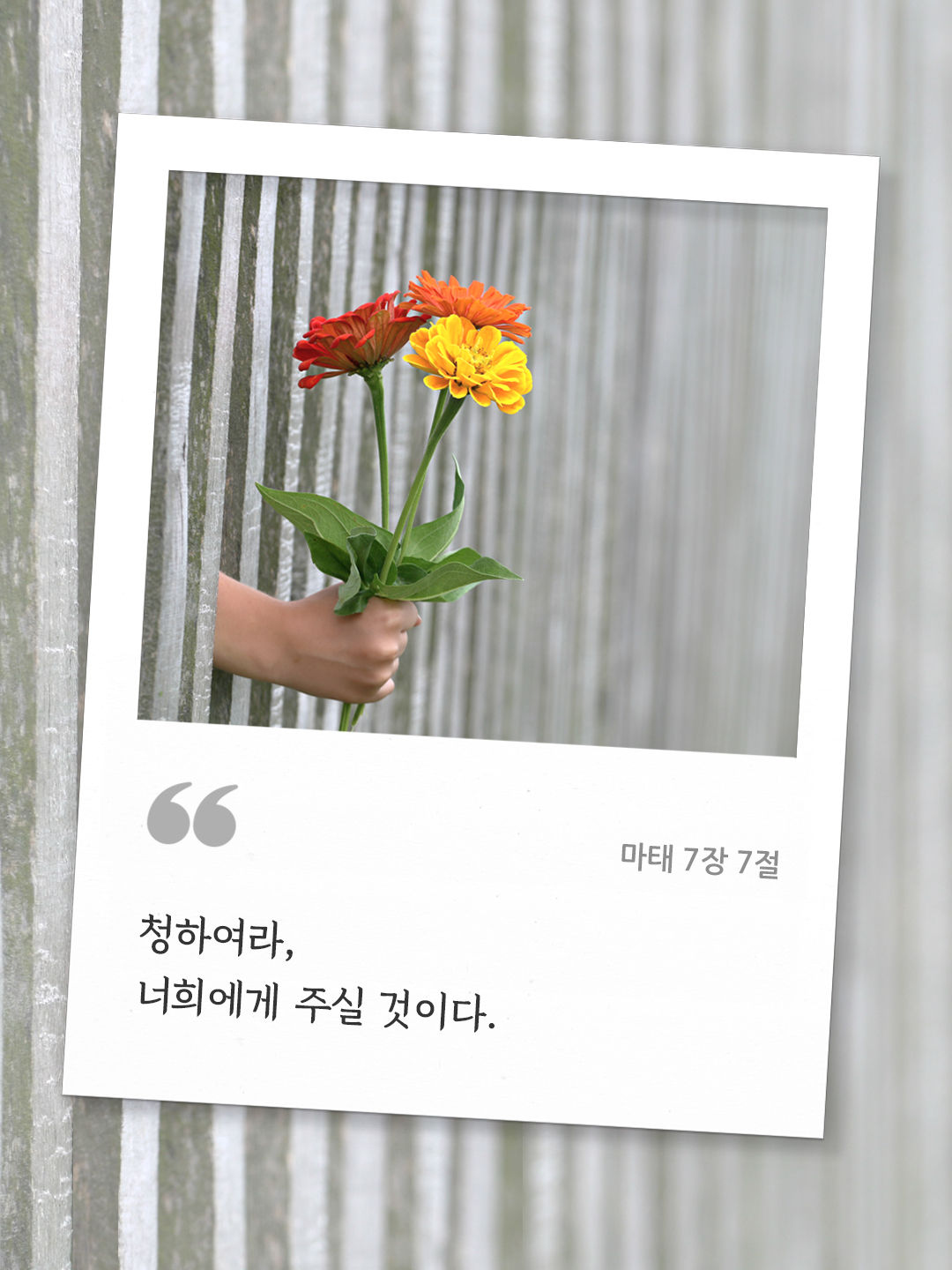 청하여라, 너희에게 주실 것이다. (마태 7장 7절) by 피어나네 오늘의 명언 좋은 글귀 이미지 다운로드