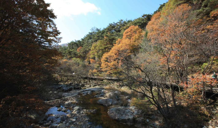 치악산 등산코스, 지도, 추천 등 3분 총정리