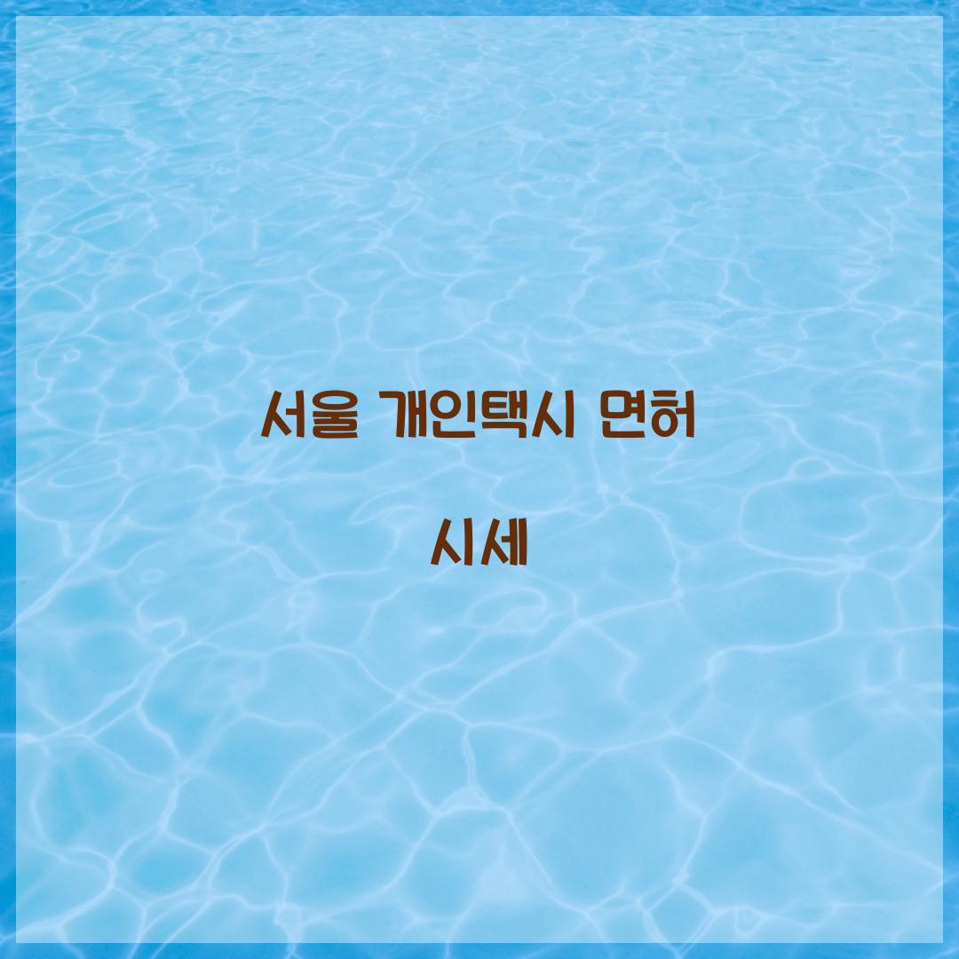 서울 개인택시 면허 시세