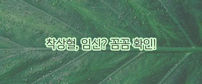 착상혈 시기 양 임테기 기간 색깔 생리 구별 증상 착상혈 없이 임신까지 꼼꼼하게!