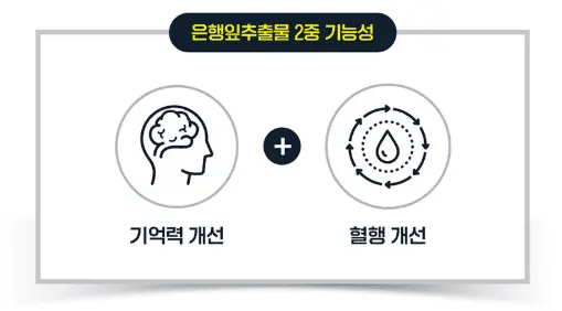 60세 이상 시니어의 기억력&amp;#44; 인지력 향상을 위한 뇌 건강 영양제 보령 메가브레인 포스파티딜세린 징코