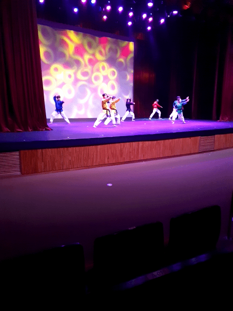 멋진 태권도 품새 시범