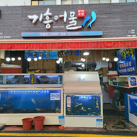 기흥어물