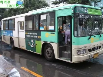 대구 시내버스 첫차시간 노선별 운행정보와 이용 꿀팁_13