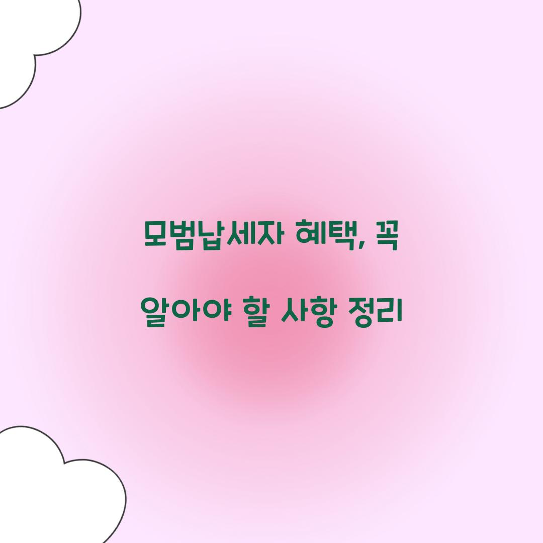 모범납세자 혜택