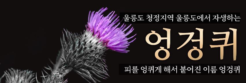 마가보감-효능