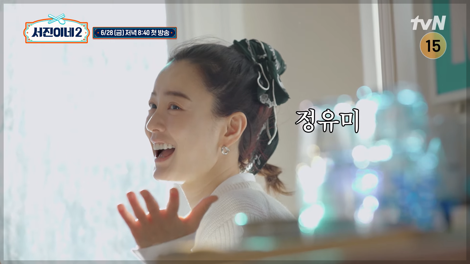 서진이네2 아이슬란드 출연진 정유미