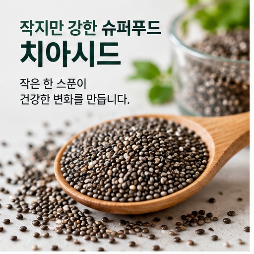 나무 숟가락에 담긴 마른 치아시드