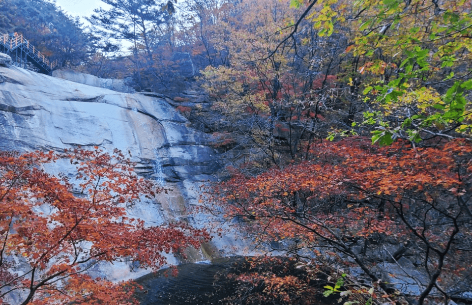 명성산 억새축제 경기도 가을여행지 가족데이트 추천 (2023) 출처: 네이버블로그 야가자!