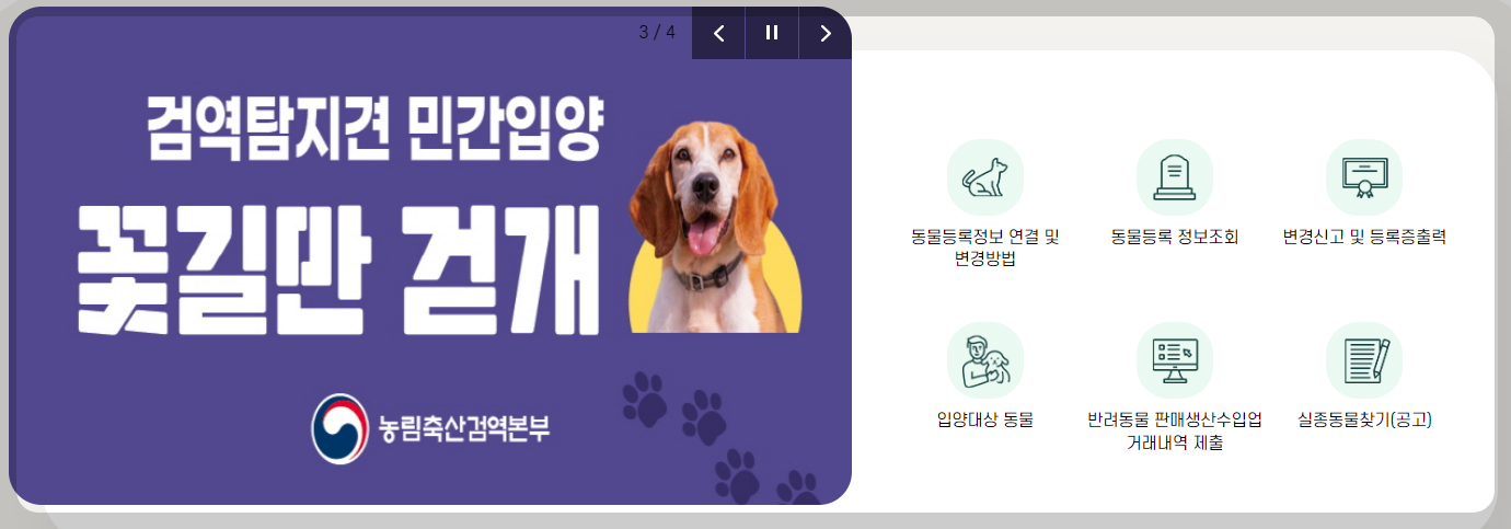 반려동물