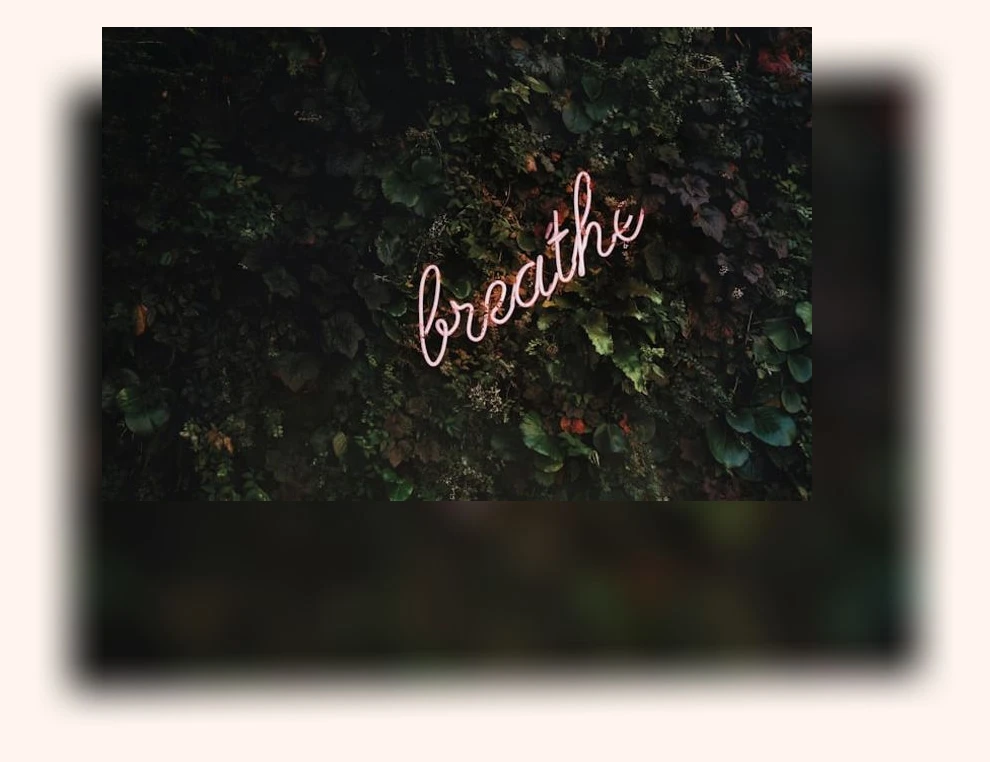 마음챙김_2_subsection