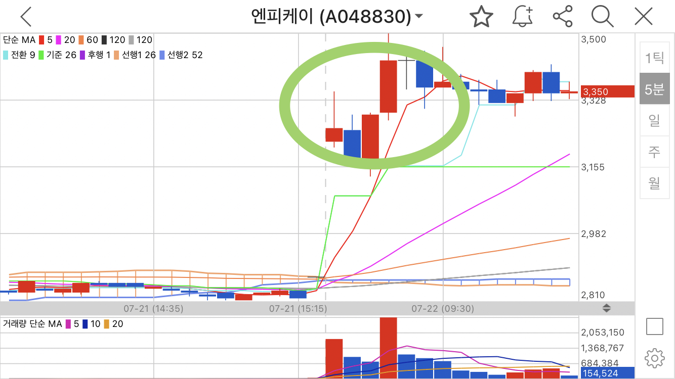 엔피케이 5분봉 매매시점