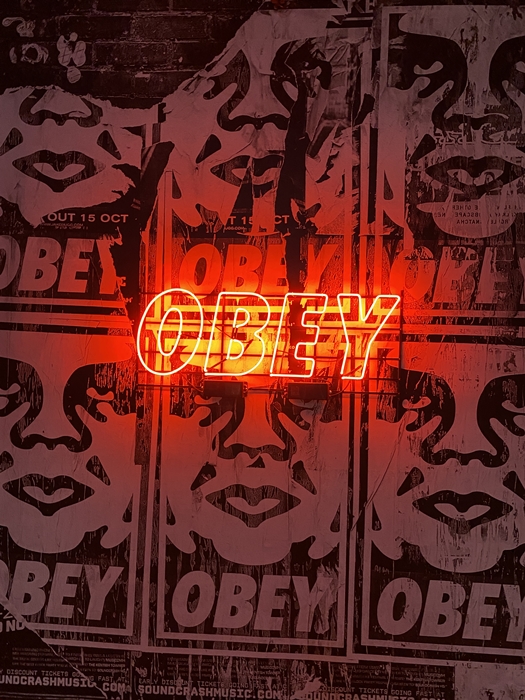 OBEY