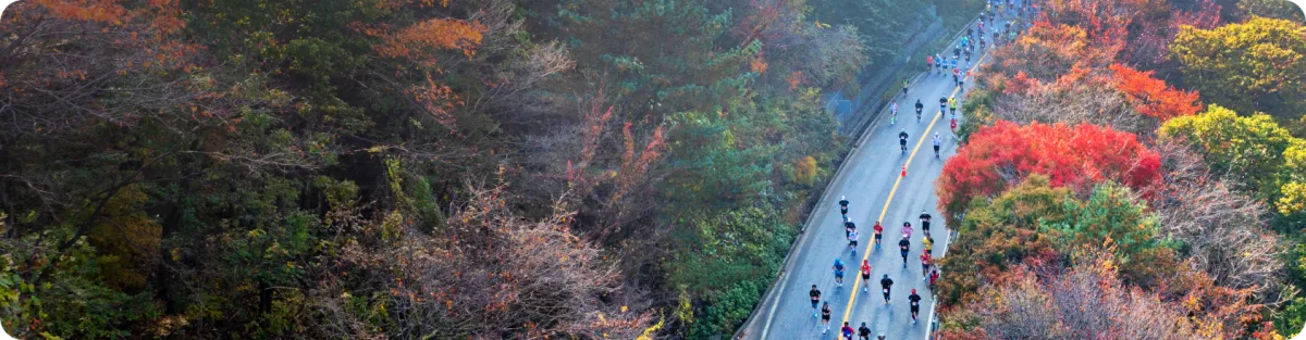 춘천마라톤-2025-달리는-모습을-항공사진으로-찍은-모습