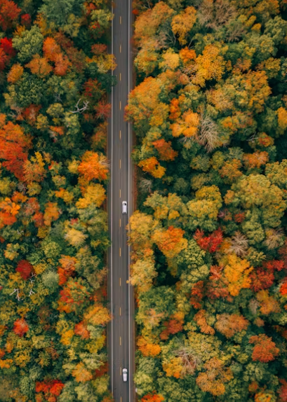 모노레일 위에서 찍은사진