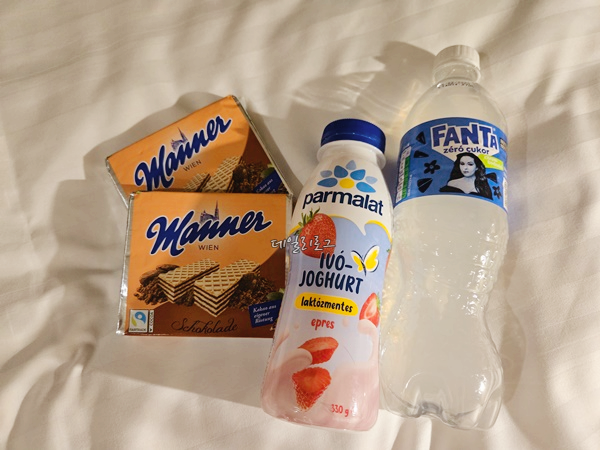 홀리데이인부다페스트부다요시_쇼핑