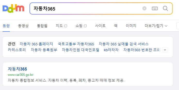 자동차 365 홈페이지 검색 및 메인 화면 진입