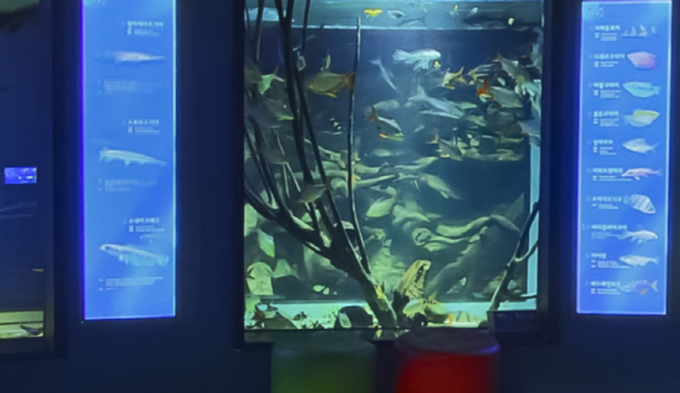 단양 아쿠아리움