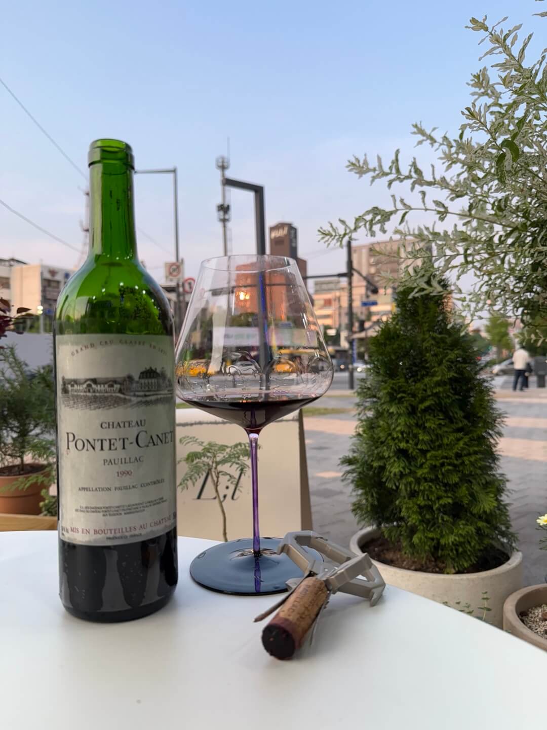 [France] Ch&acirc;teau Pontet-Canet 1990, Pauillac, Bordeaux｜샤토 퐁테-까네 1990 뽀이약, 보르도 5등급 그랑 크뤼 클라쎄