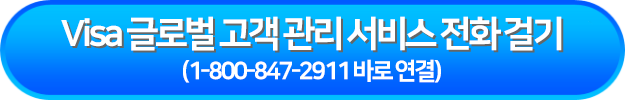 Visa 글로벌 고객 관리 서비스 전화 걸기