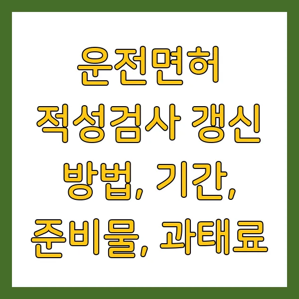 운전면허 적성검사 갱신 방법, 기간, 준비물, 과태료 2025년 최신 정보