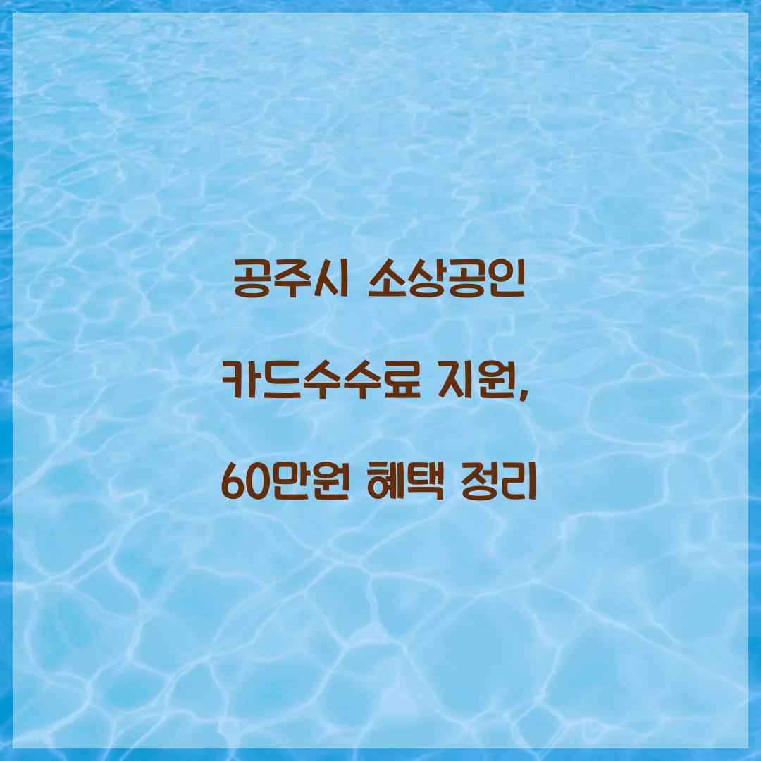 공주시 소상공인 카드수수료 지원