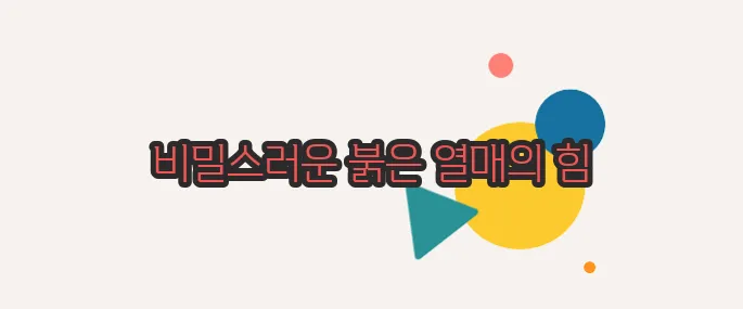 크랜베리의 효능 하나씩 확인해보죠