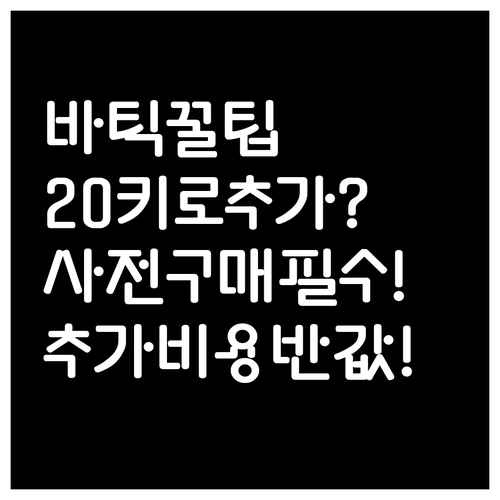 바틱 에어 수하물 20kg 추가 비용..