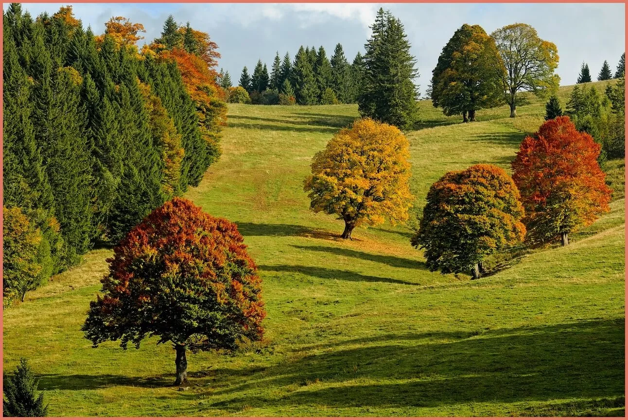 새마을금고 예금금리