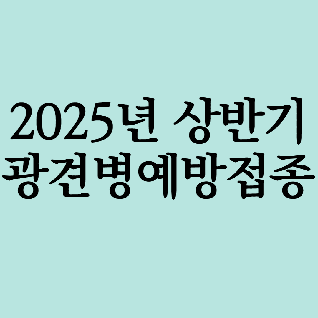 2025상반기광견병