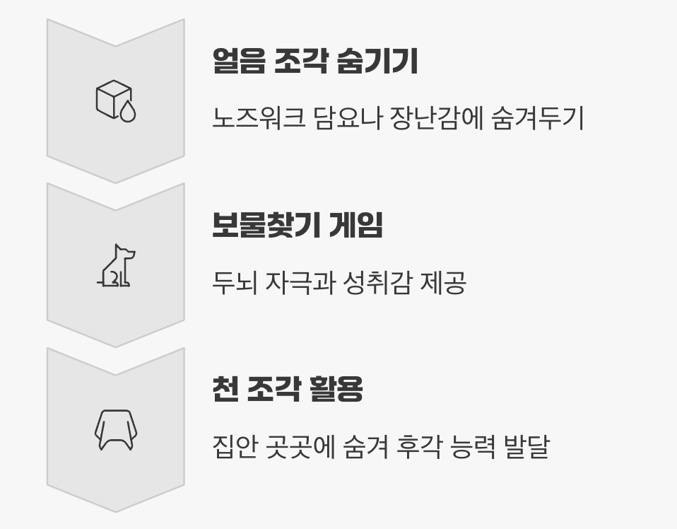 재미있는 킁킁 후각놀이 장난감