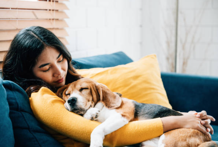 낮잠이 두뇌를 리셋한다? 효과적인 파워냅 활용법
