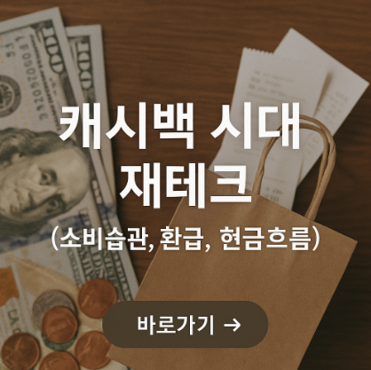 캐시백 시대 제테크 관련 사진