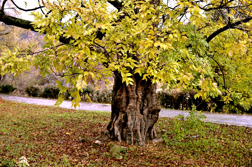 11월 넷째주 마지막주 대표기도문